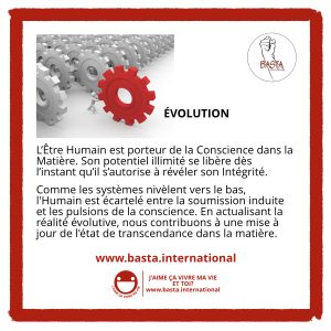 Évolution Basta International