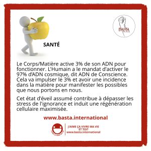 Santé Basta International